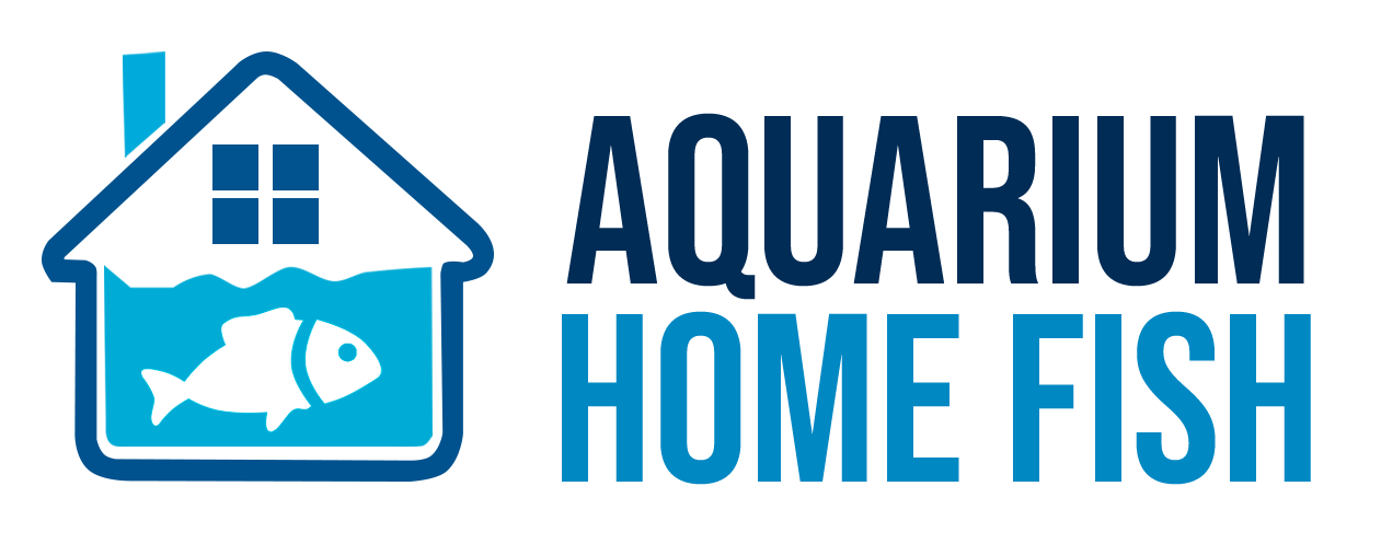Aquarium Home Fish